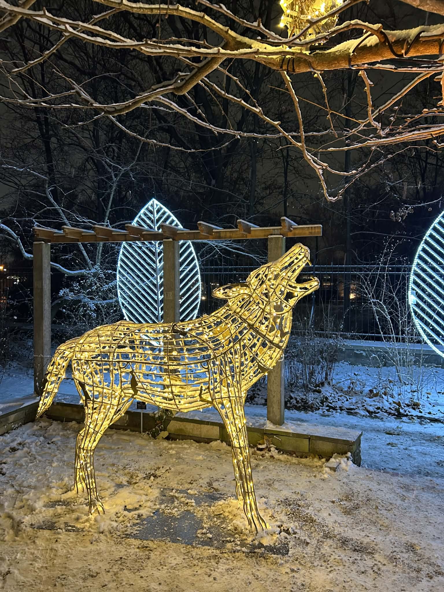 Wilk w Magiczny Botaniczny Wilk w Magiczny Botaniczny